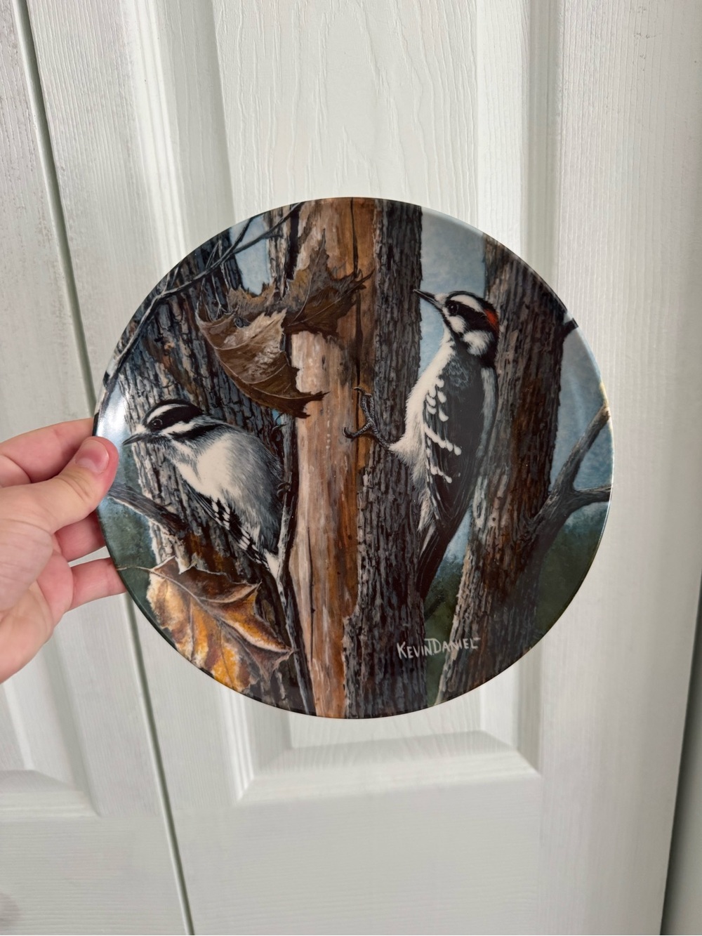 Knowles 'The Downy Woodpecker' Collector Plate by Kevin Daniel